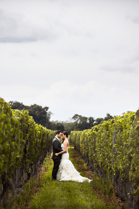 Best Bedell Cellars wedding photography