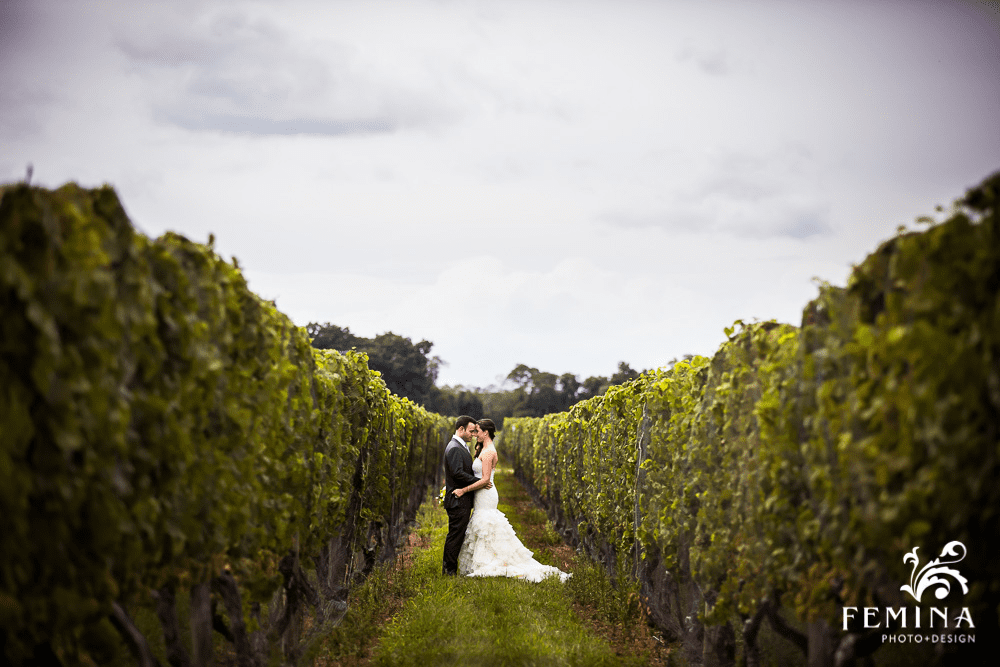 Best Bedell Cellars wedding photography
