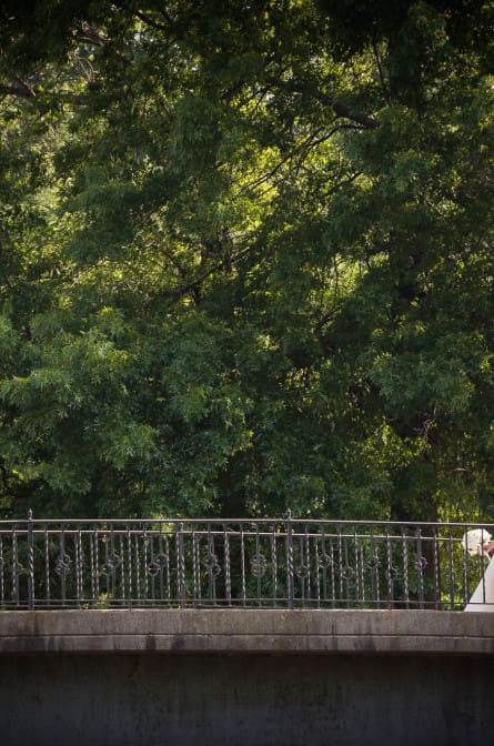 Fiddler's Elbow wedding photography on golf course bridge