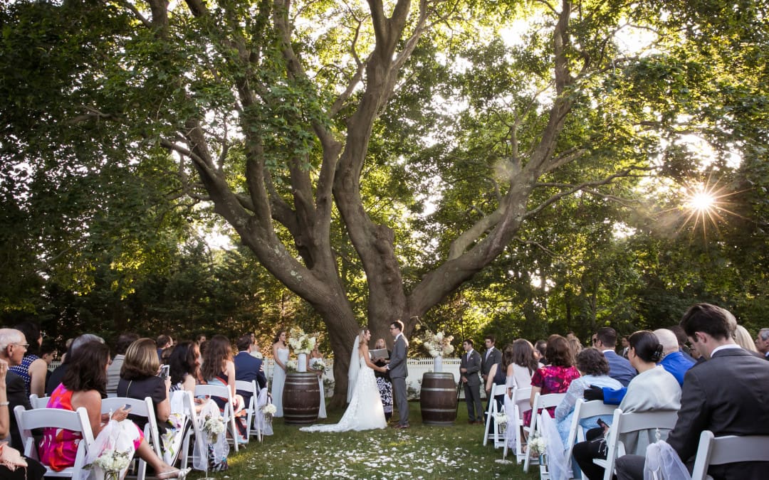 Lindsey and Tommy's wedding ceremony under the tree at Bedell Cellars